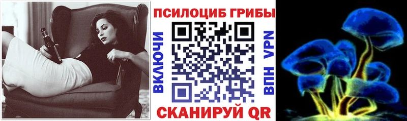магазин продажи наркотиков  Шарья  Псилоцибиновые грибы мухоморы 